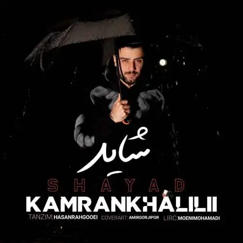 شاید